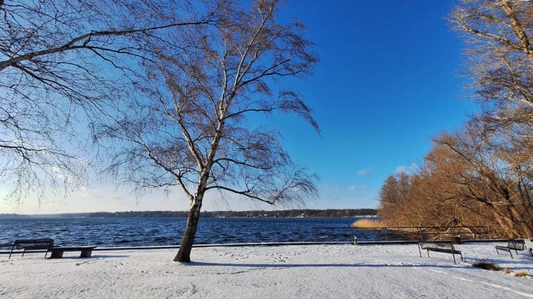 Schwanenwerder Atmo, Nikon, Foto-Peter Oppermann (45)