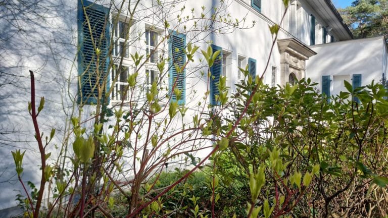 Villa Garten Frühling (2)