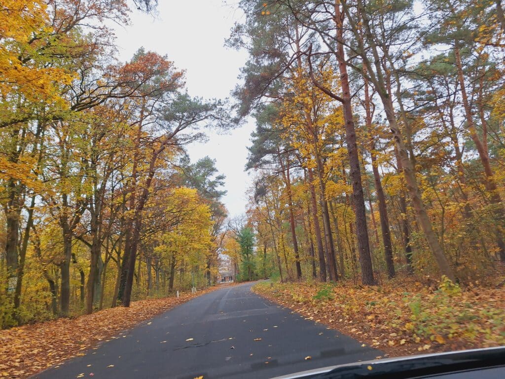 Waldweg auf Schwanenwerder - Shuttleservice zur Tagungsstätte